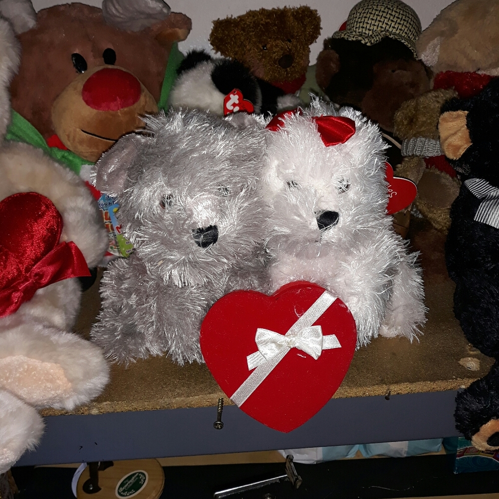 Pair of stuffed by RBI(FREE WITH BUNDLE